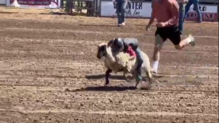 Comal County Fair and Rodeo keert in september voor de 131e keer terug