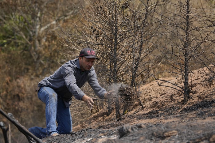 Droogte in Brazilië treft koffieplantages en dreigt prijzen nog verder op te drijven