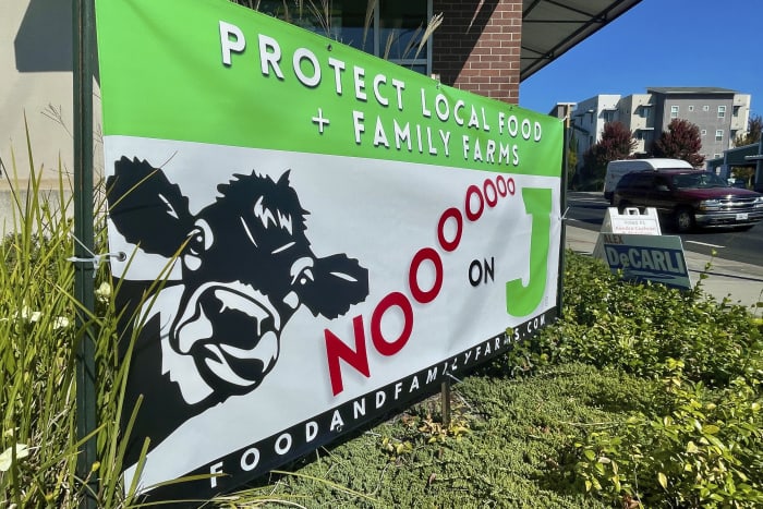 Kiezers in de provincie Noord-Californië gaan stemmen over het al dan niet toestaan ​​van grootschalige boerderijen