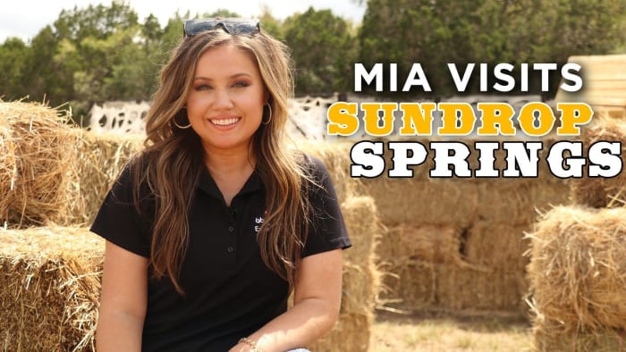 Ontdek herfstactiviteiten voor het hele gezin dit seizoen bij Sundrop Springs