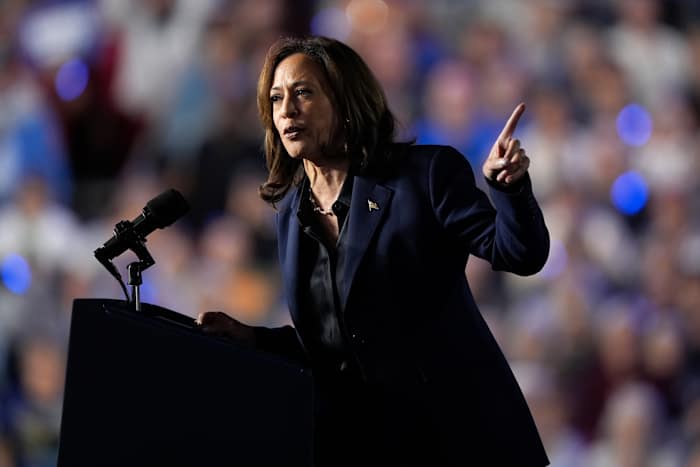 De democratische presidentskandidaat vice-president Kamala Harris spreekt tijdens een campagnebijeenkomst op de Resch Expo in Green Bay, Wisconsin, donderdag 17 oktober 2024. (AP Photo/Susan Walsh)