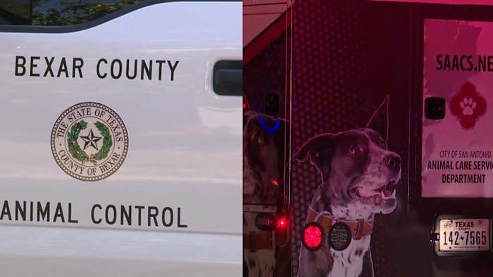 De leiders van San Antonio concentreren zich op de verantwoordelijkheid van de eigenaren over fokverboden