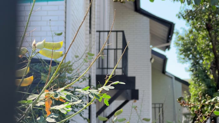 De operatie waarbij meerdere instanties betrokken waren, vond op 5 oktober plaats in Sahara Street.