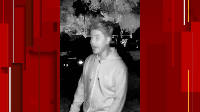 De politie van San Antonio heeft een afbeelding vrijgegeven van een persoon die vermoedelijk betrokken is bij een dodelijke schietpartij op een huisfeest in het zuidwesten van Bexar County.