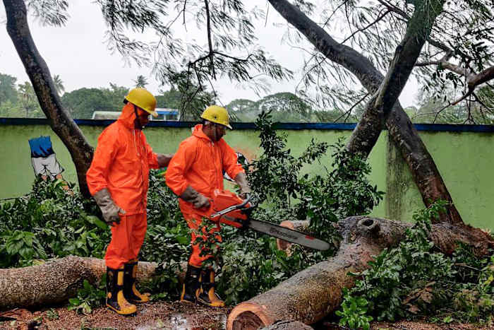 Deze foto, gedeeld door de National Disaster Response Force (NDRF), de regering van India, toont NDRF-personeel dat omgevallen bomen aan het zagen is in Paradeep, in het Jagatsinghpur-district van de staat Odisha, aan de oostkust van India, waar tropische storm Dana donderdagavond laat aan land kwam, volgens de Indiase Meteorologische Dienst, India, vrijdag 24 oktober 2024. (NDRF, regering van India, via AP)
