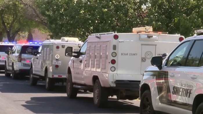 Een 1-jarige baby die maandag levensbedreigende verwondingen opliep na een hondenaanval is overleden, aldus het Bexar County Medical Examiner's Office.