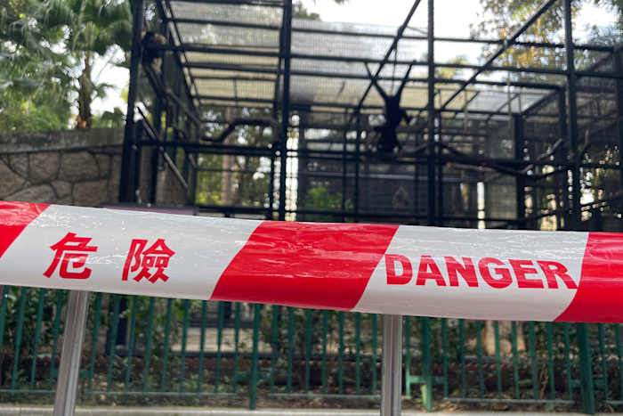 Een cordon met de woorden gevaar wordt rond de apenverblijven geplaatst na de mysterieuze dood van verschillende apen in de Hong Kong Zoological and Botanical Gardens in Hong Kong, dinsdag 15 oktober 2024. (AP Photo)
