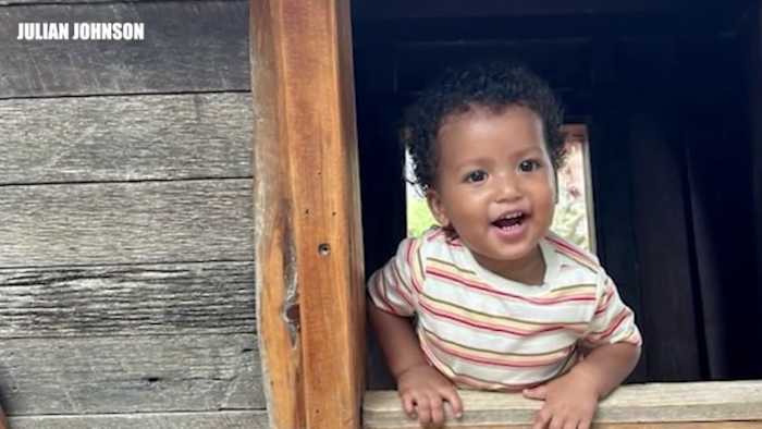 Een rechter heeft donderdag bevolen dat de drie honden van Heather Rodriguez moeten worden geëuthanaseerd