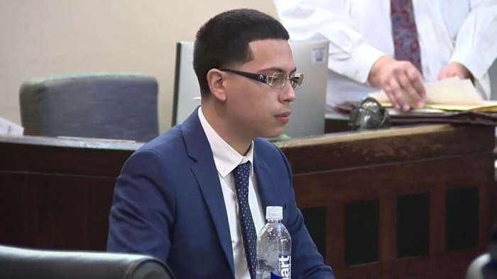 Man schuldig bevonden aan het neerschieten en doden van een man na een incident met het aaien van honden