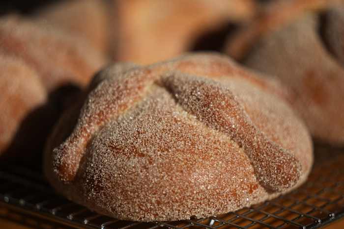Zin in een zoete traktatie tijdens Mexico's Dag van de Doden? Eet een hapje 'pan de muerto'