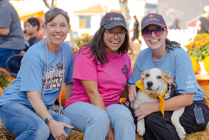 ACS vestigt een record met 176 adopties van huisdieren op één dag