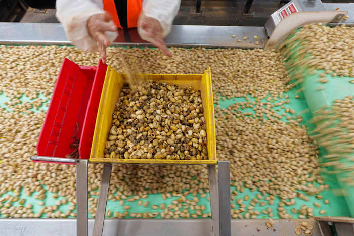 Boeren in Californië genieten van de pistacheboom, waarvan een groot deel naar China gaat