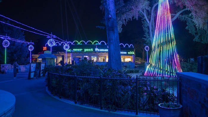 🌟 Dingen om te doen in San Antonio dit weekend: Rotary Ice Rink, Zoo Lights, Ryan Castro & Blessd