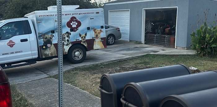 Door een hondenbeet op Halloweenavond moet kind naar het ziekenhuis, zegt SAPD