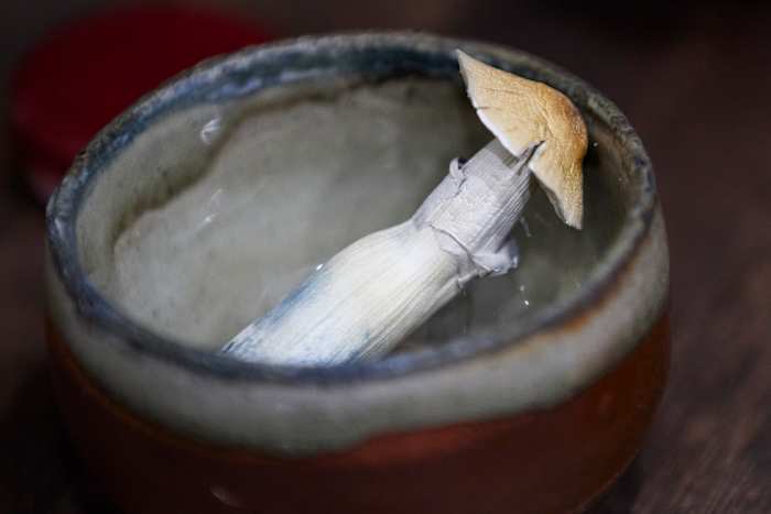 Een groeiend aantal steden in Oregon stemt voor een verbod op de psychedelische paddenstoelenverbinding psilocybine