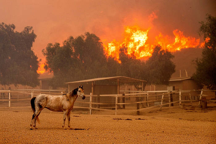 Een natuurbrand in Zuid-Californië vernietigt 132 bouwwerken terwijl ambtenaren zoeken naar hevige wind die gaat afnemen