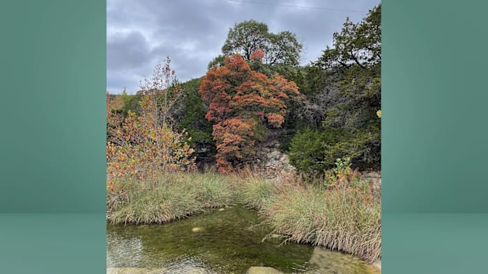Herfstkleuren staan ​​in bloei in het Lost Maples State Natural Area