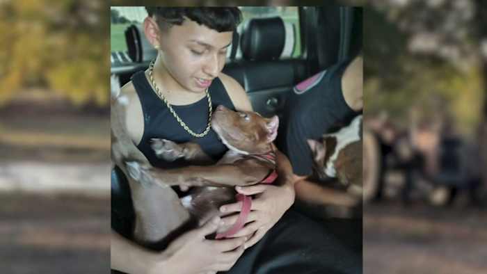 'Het is hartverscheurend': buren spreken zich uit nadat tiener omkwam bij donut-stuntcrash