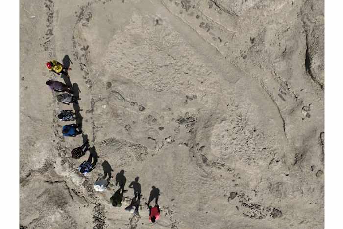 Modderige voetafdrukken suggereren dat twee soorten vroege mensen 1,5 miljoen jaar geleden buren waren in Kenia