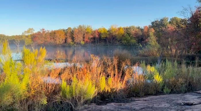 🍂 Ontdek 20 Texas State Parks in de buurt van San Antonio voor herfstkamperen