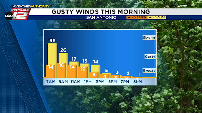 Vandaag koeler en winderig, vanavond koud
