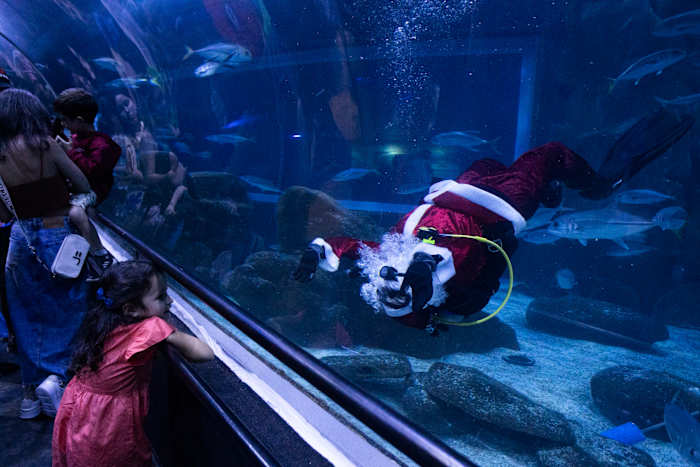 De Kerstman gaat met haaien mee tijdens een vakantiezwemmen in een aquarium in Rio de Janeiro