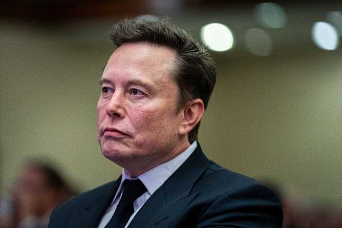 Elon Musk en Vivek Ramaswamy brengen Trumps DOGE naar Capitol Hill