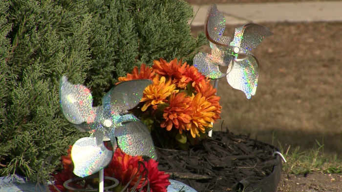 'Het is zwaar en zo moeilijk geweest': familie Soto zoekt gerechtigheid, eert Savanah Soto en Matthew Guerra 1 jaar na hun moorden