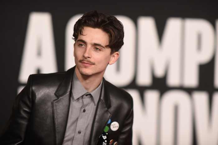 Hoe Timothée Chalamet transformeerde in Bob Dylan