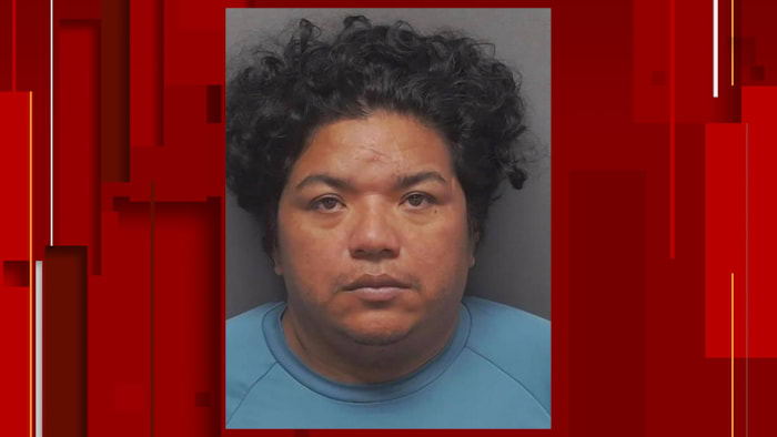 Man beschuldigd van het gijzelen van een vrouw en haar dwingen gratis te werken