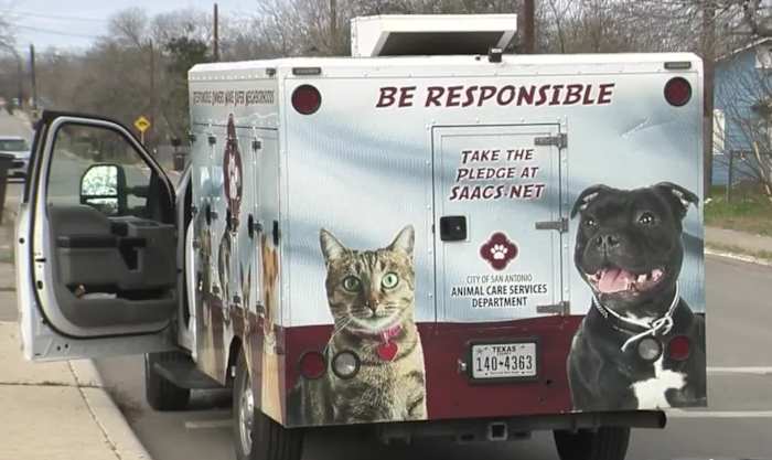 Wat je moet weten over gratis trainingen door ACS, veiligheidstips na weer een ernstige hondenaanval in San Antonio