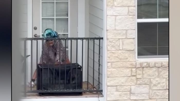 3 maanden oude poedel in 'verbeterde gezondheid' na video toont vermeend misbruik, zegt ACS