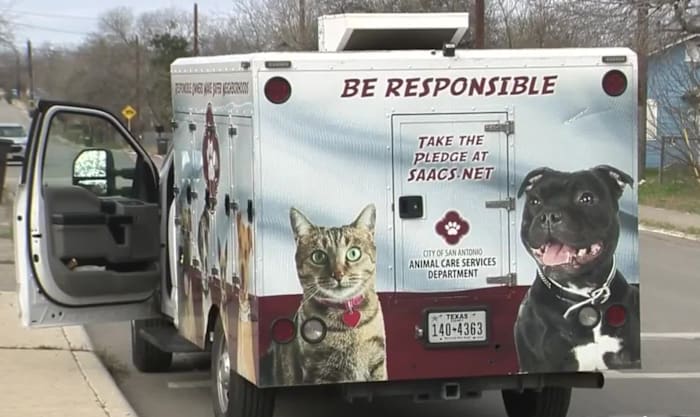 ACS vaardigt in twee dagen tijd 47 strafrechtelijke bekeuringen uit voor weergerelateerde incidenten, zegt de afdeling