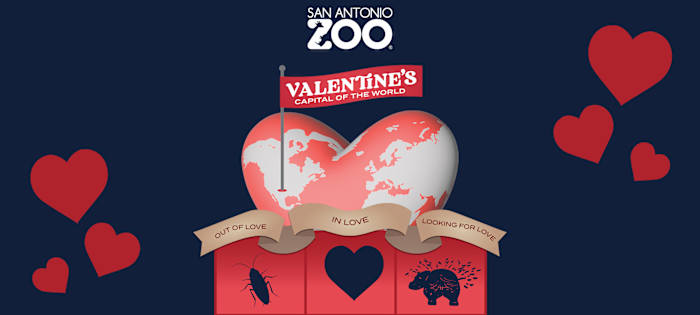 Breng uw Valentijnsdag door in de dierentuin van San Antonio