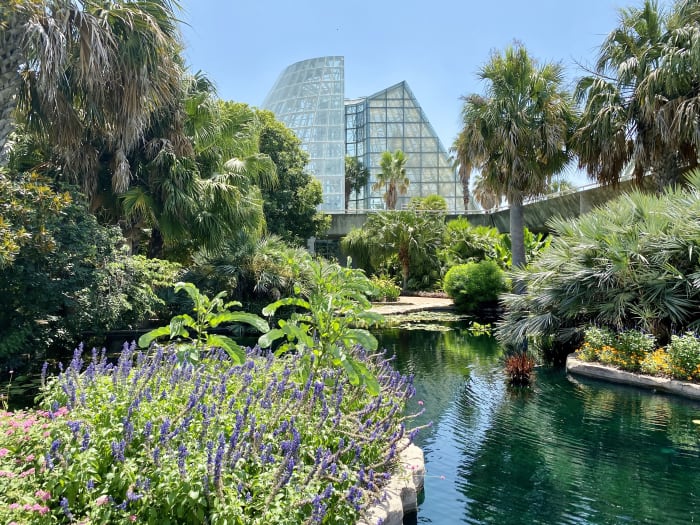 De nieuwe tentoonstelling 'Reflections of Nature' van San Antonio Botanical Garden debuteert in maart
