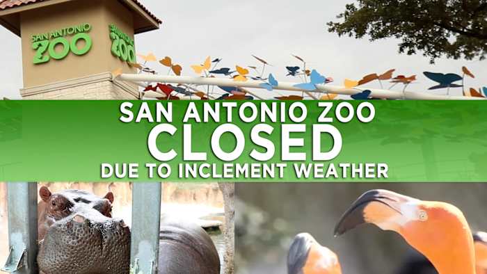 Dierentuin van San Antonio is donderdag gesloten vanwege koud weer