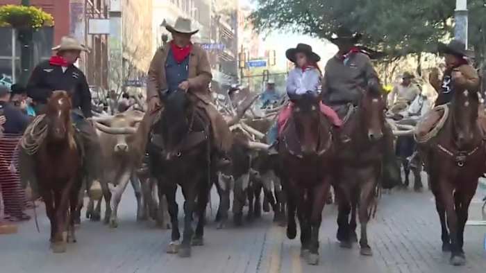🤠 Dingen om dit weekend in San Antonio te doen: Western Heritage Weekend, Pearl Lunar Year Event, Latin Mafia