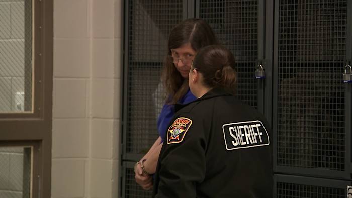 Gearresteerde advocaat, beschuldigd van het stelen van $ 540k van kinderen wier ouders stierven in zelfmoord op moord