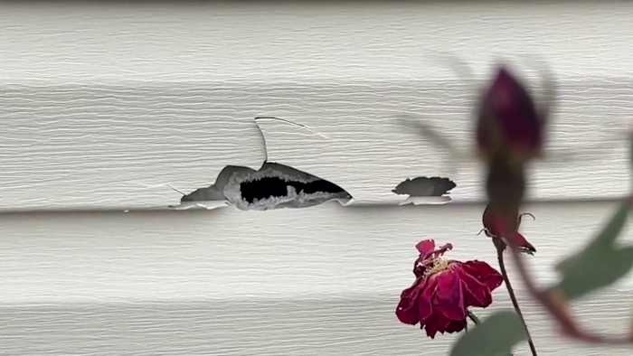 Inwoners van Northeast Side uiten hun frustraties over de dodelijke schietpartij in hun gemeenschap