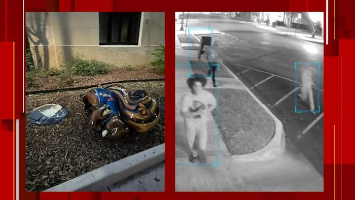 Politie van Seguin zoekt naar personen van belang die mogelijk het standbeeld 'Wendy de Eekhoorn' hebben vernield