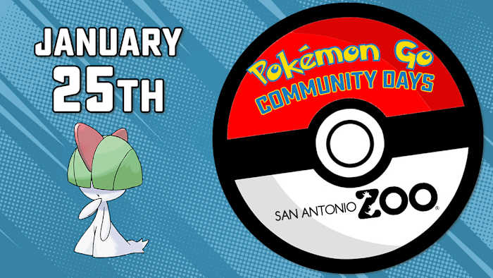 SA Zoo organiseert Pokémon GO Community Day