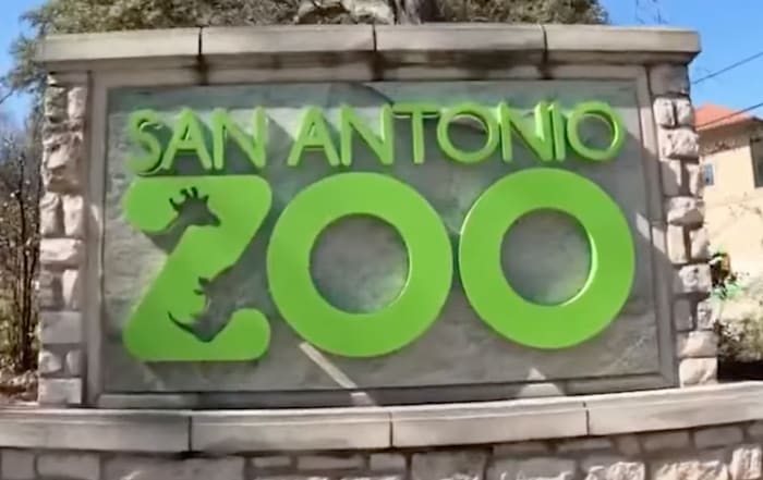 San Antonio Zoo om de hele maand leden te vieren in februari