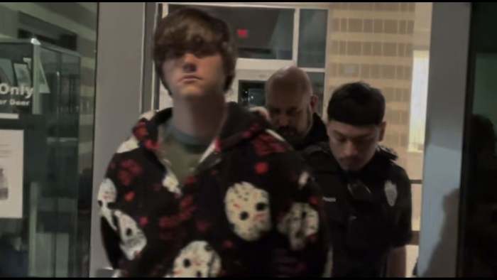 Tiener beschuldigd van schieten en doden van hond was geen eigen dier, zegt een beëdigde verklaring