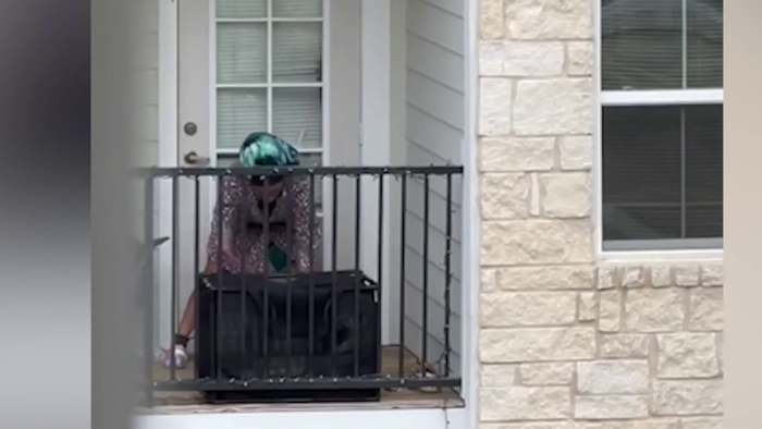 Vrouw beschuldigd van het meerdere keren slaan van een drie maanden oude poedel, vrijgelaten op borgtocht