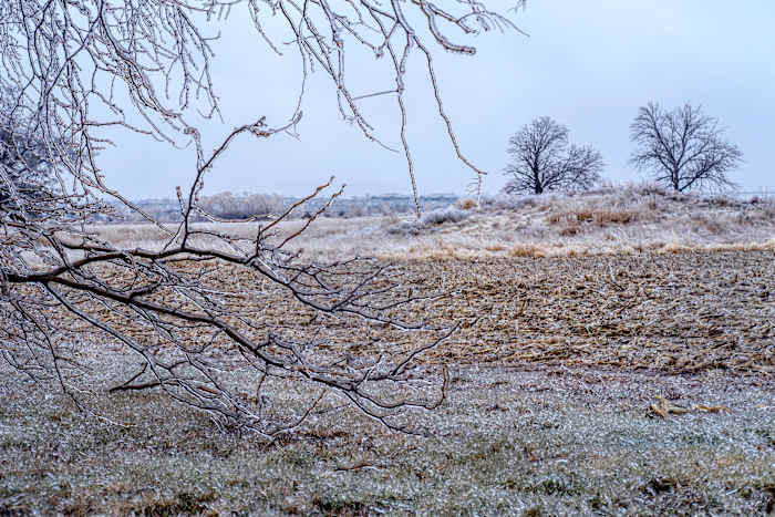 Wat de winterstorm van deze week betekent voor boeren in de VS