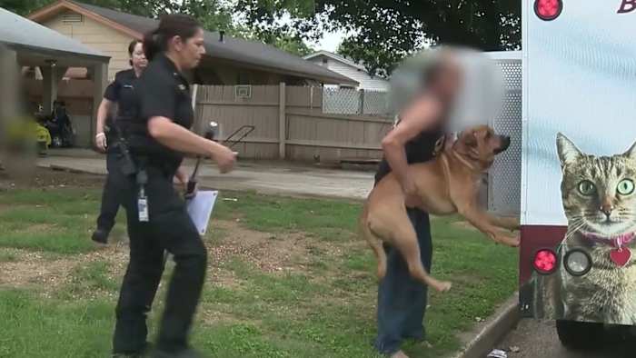 Wat gebeurt er na een hondenbeet? Dit is wat je moet weten.