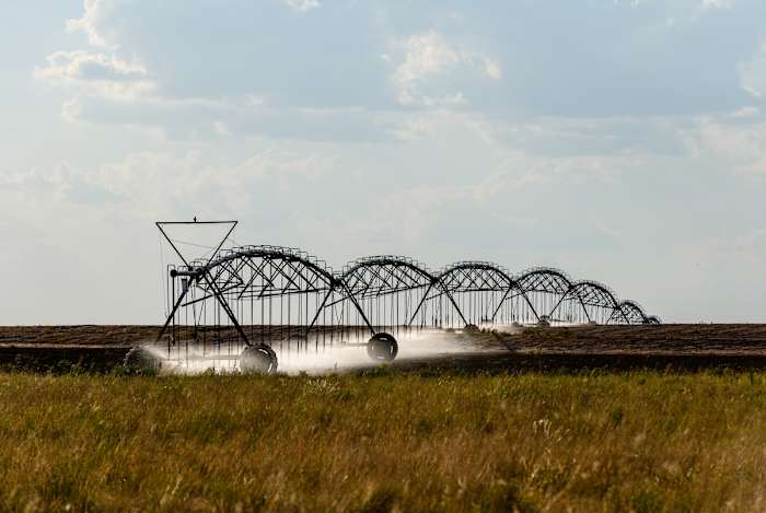 Zal de Republikeinse controle over het Congres leiden tot bijgewerkte landbouwwetten? Boeren in Texas hopen van wel.