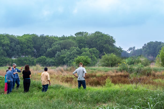 Arboretum non -profit vraagt ​​$ 25 miljoen obligatie van de gemeenteraad van San Antonio