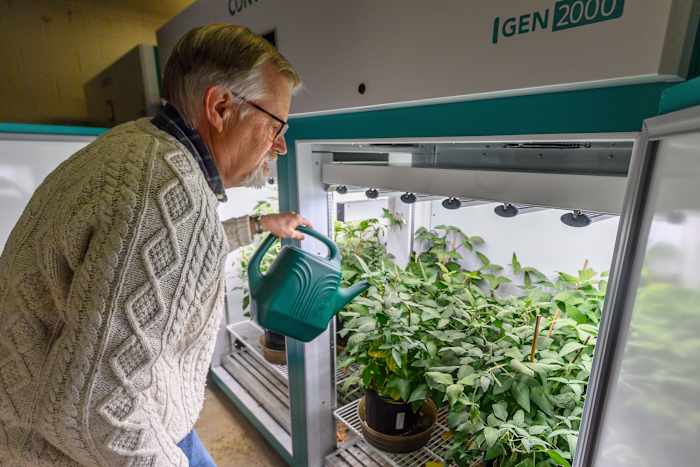 De USAID -shutdown is het verhogen van middelen van middelen voor non -profit werknemers, boeren en andere Amerikanen