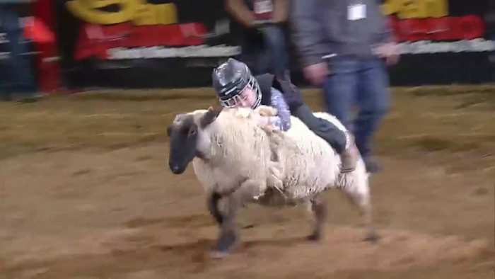 🐎 Dingen om te doen in februari: San Antonio Stock Show & Rodeo, San Antonio Coffee Festival, Hello Kitty Cafe Truck